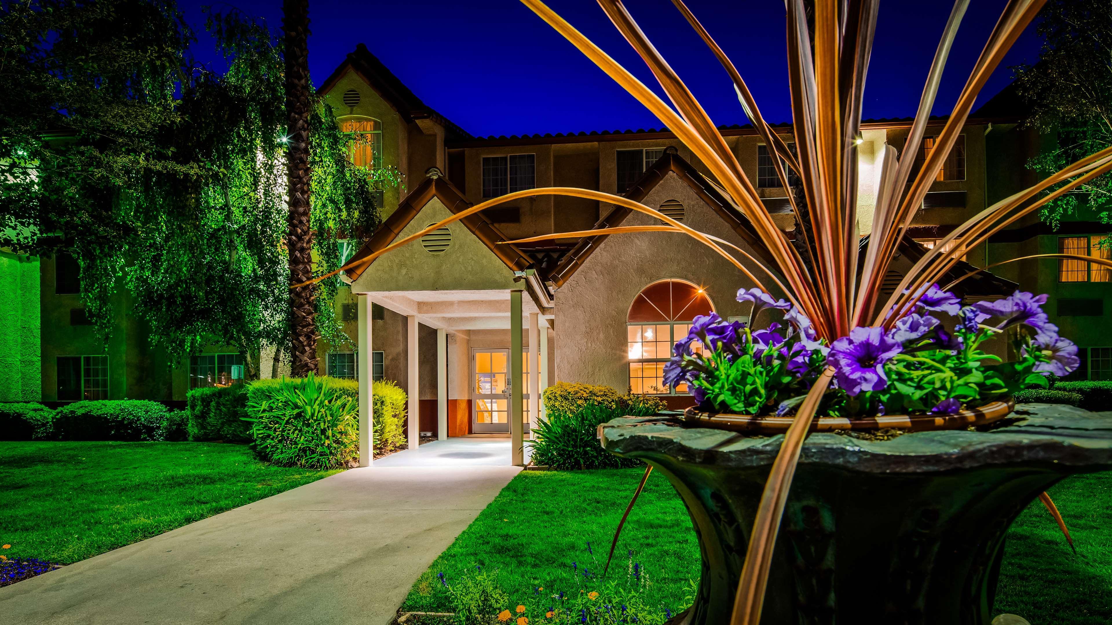 Best Western Plus Palm Court Hotel Дейвис Экстерьер фото