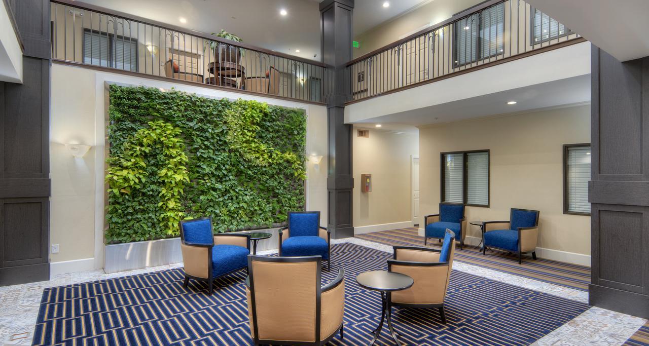 Best Western Plus Palm Court Hotel Дейвис Экстерьер фото
